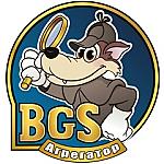 Агрегатор BGS
